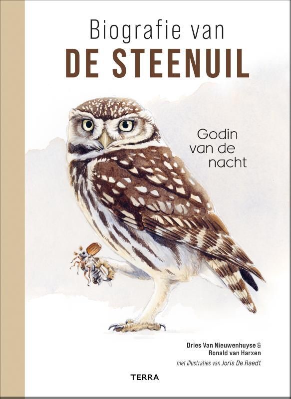 Dries van Nieuwenhuyse; Biografie van de steenuil