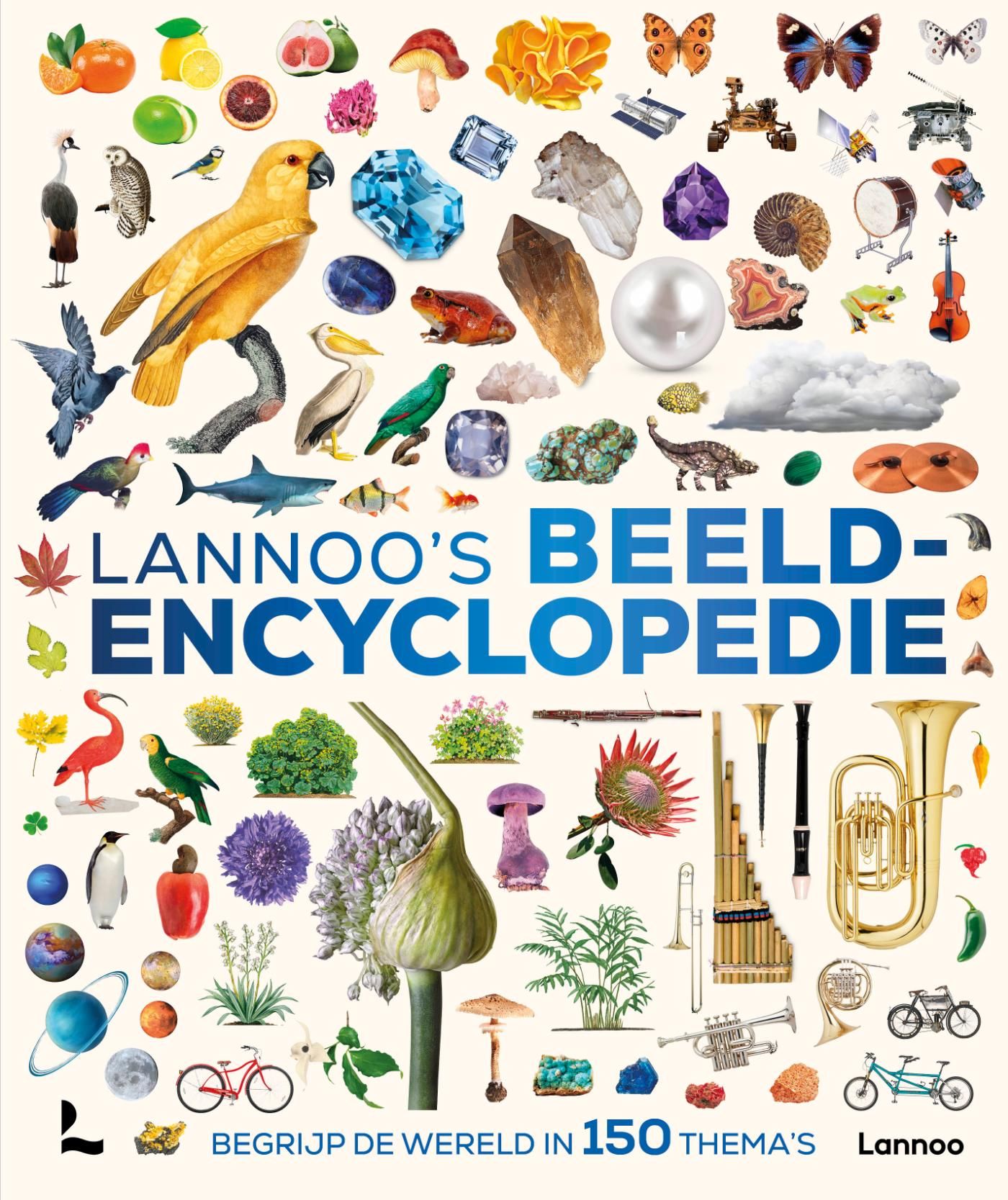 Lannoo's beeldenencyclopedie