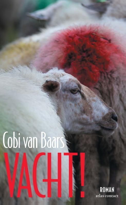 Cobi van Baars; Vacht!