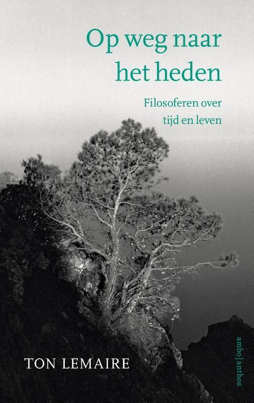 Ton Lemaire; Op weg naar het heden