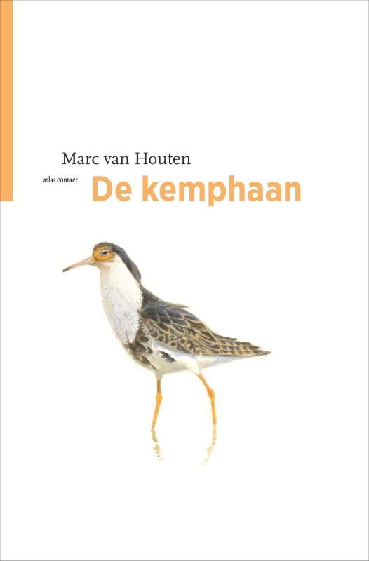 Marc van Houten; De kemphaan