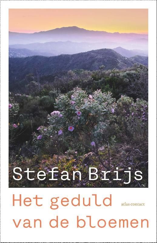 Stefan Brijs; Het geduld van de bloemen