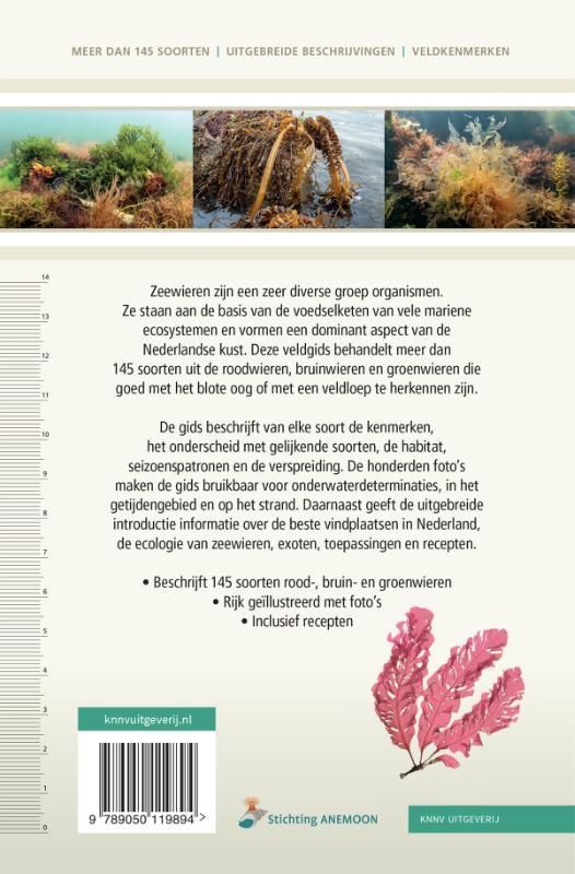 Veldgids zeewieren