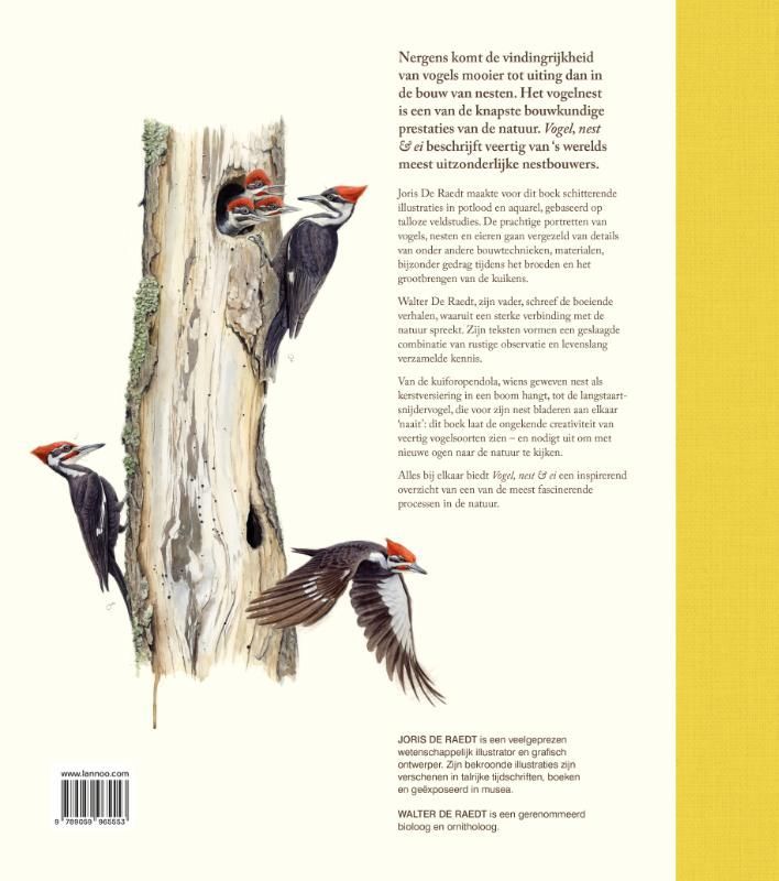 Walter De Raedt; Vogel, nest & ei