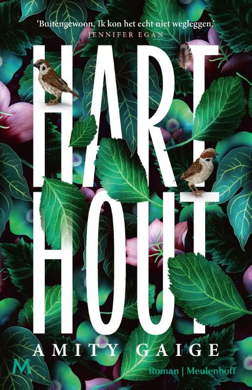 Amity Gaige; Harthout