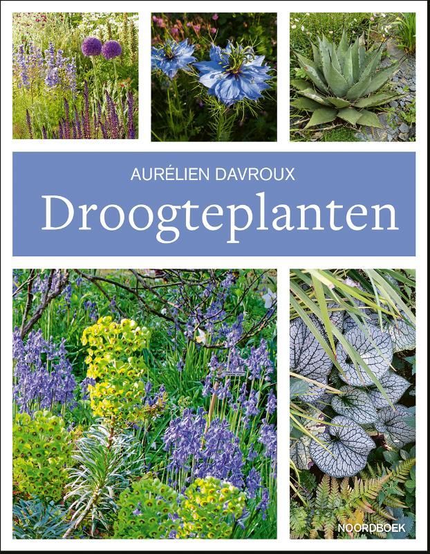 Aurélien Davroux; Droogteplanten