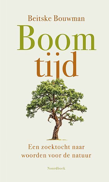 Beitske Bouwman; Boomtijd