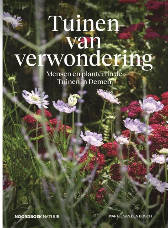 Martje Van den Bosch; Yuinen van verwondering