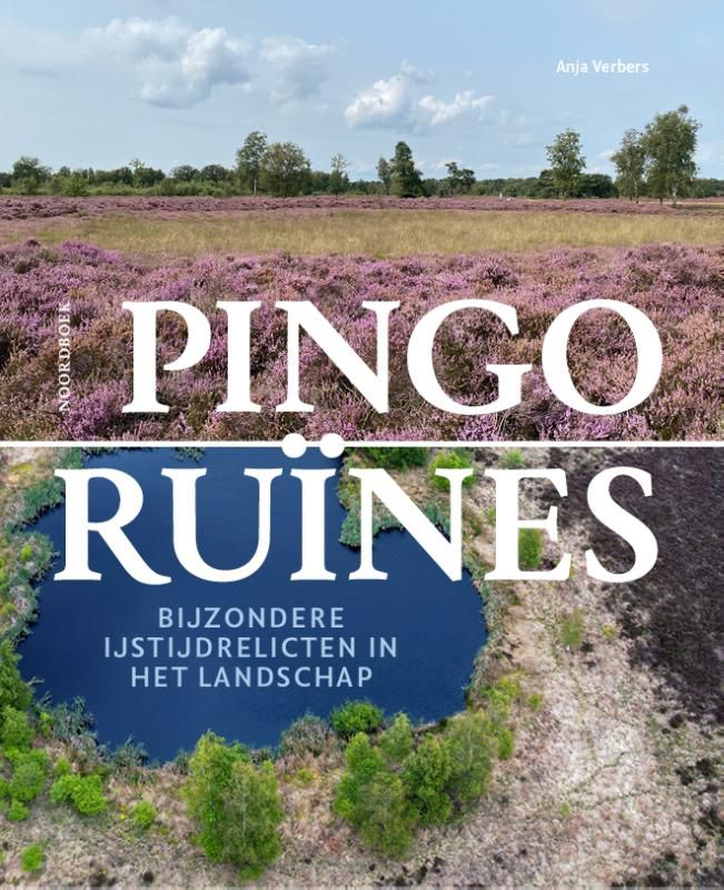 Anja Verbers; Pingoruïnes