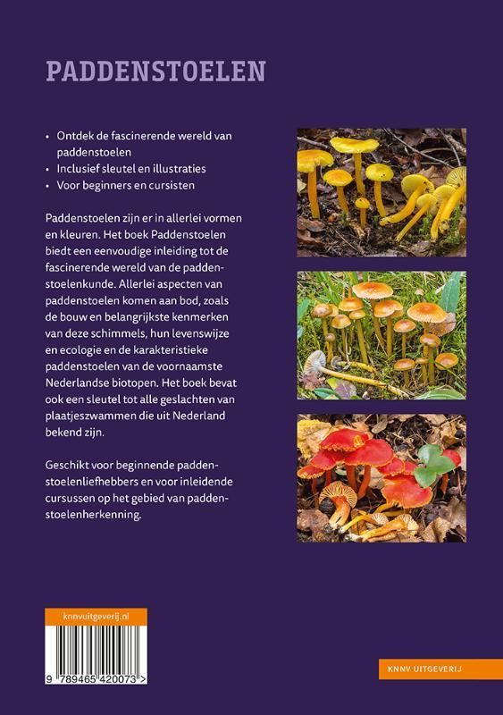 Nico Dam; Paddenstoelen