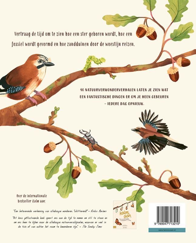 Carl Wilkinson; Kalm aan... en kijk om je heen