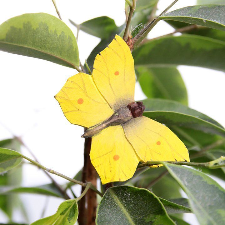 Vlinder  Citroenvlinder hout/ magnetisch