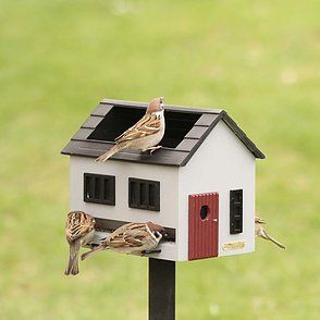 Vogelvoederhuis met bad wit