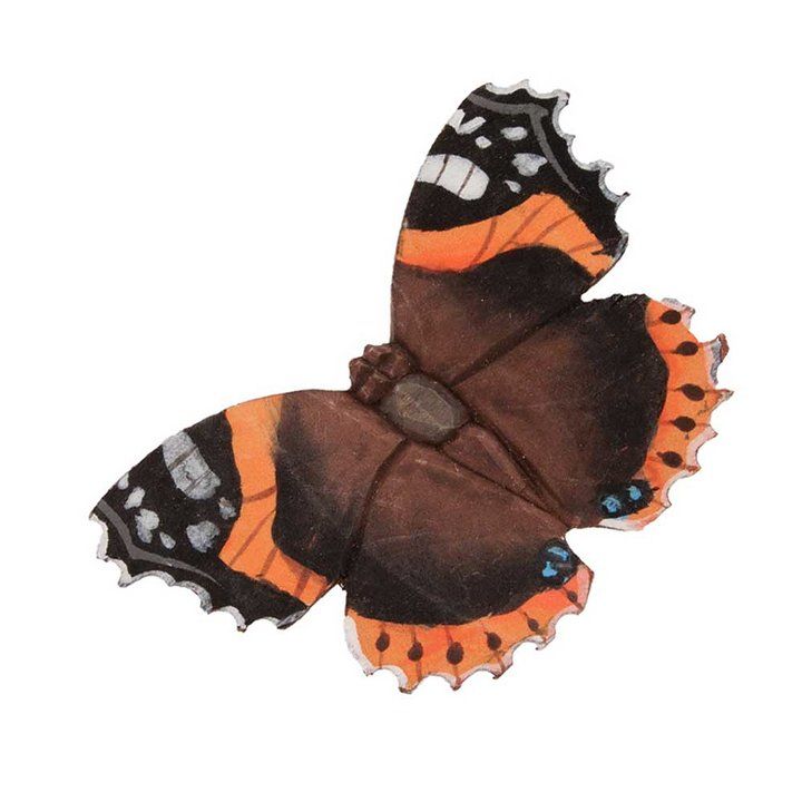 Vlinder met donkerbruine vleugels, oranje en zwarte markeringen en witte stippen.