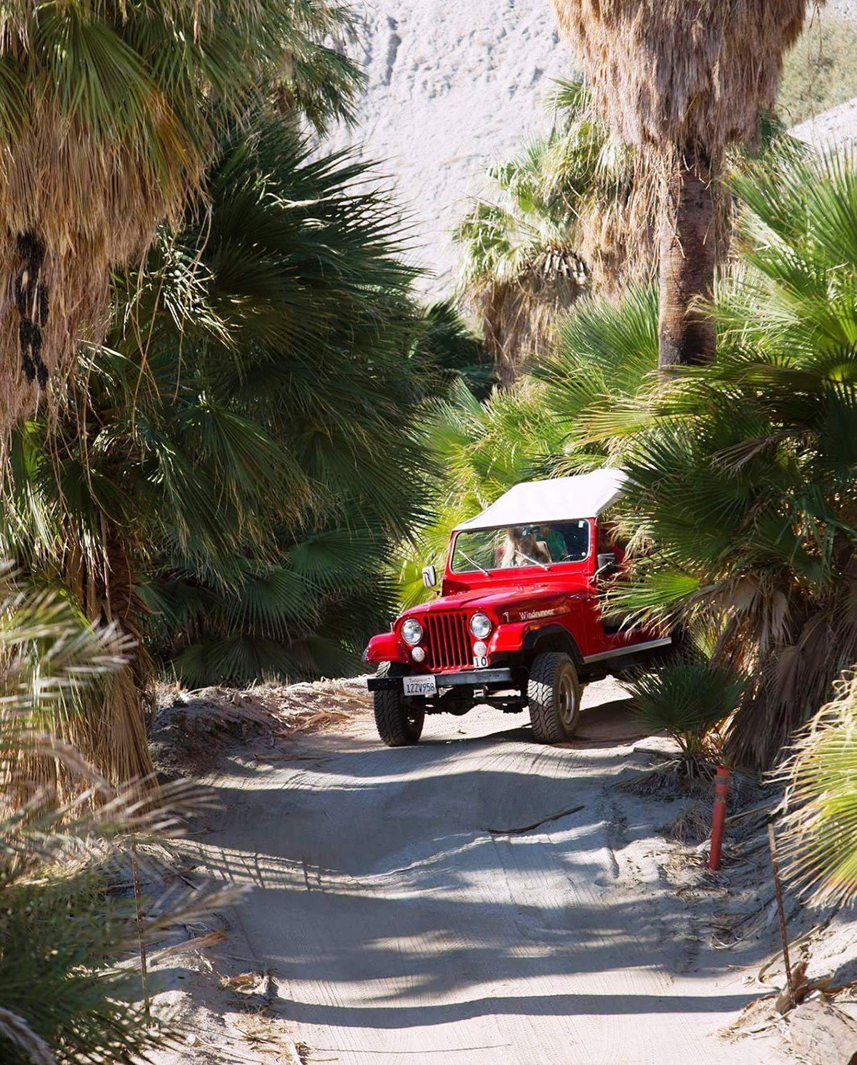 Red Jeep Tours 1 Outdoor Activity in Palm Springs, CA