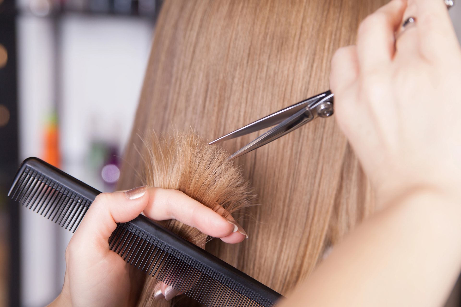Hair Cuts in Athens, OH Hair Cuts in Athens, OH