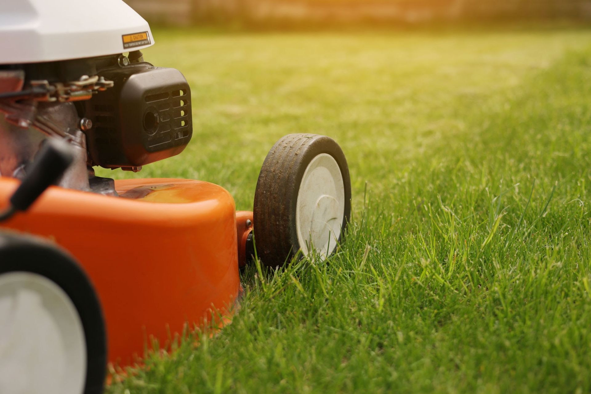 lawn care services in sparta