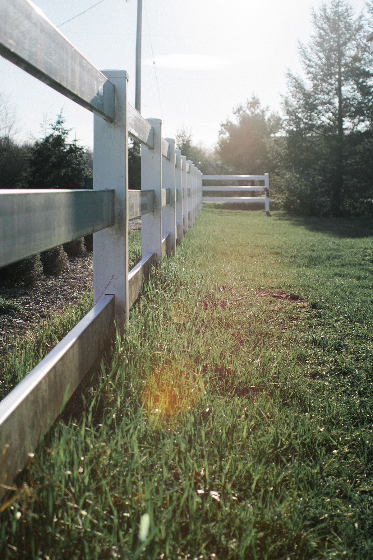 A white wooden fence surrounds a grassy field.