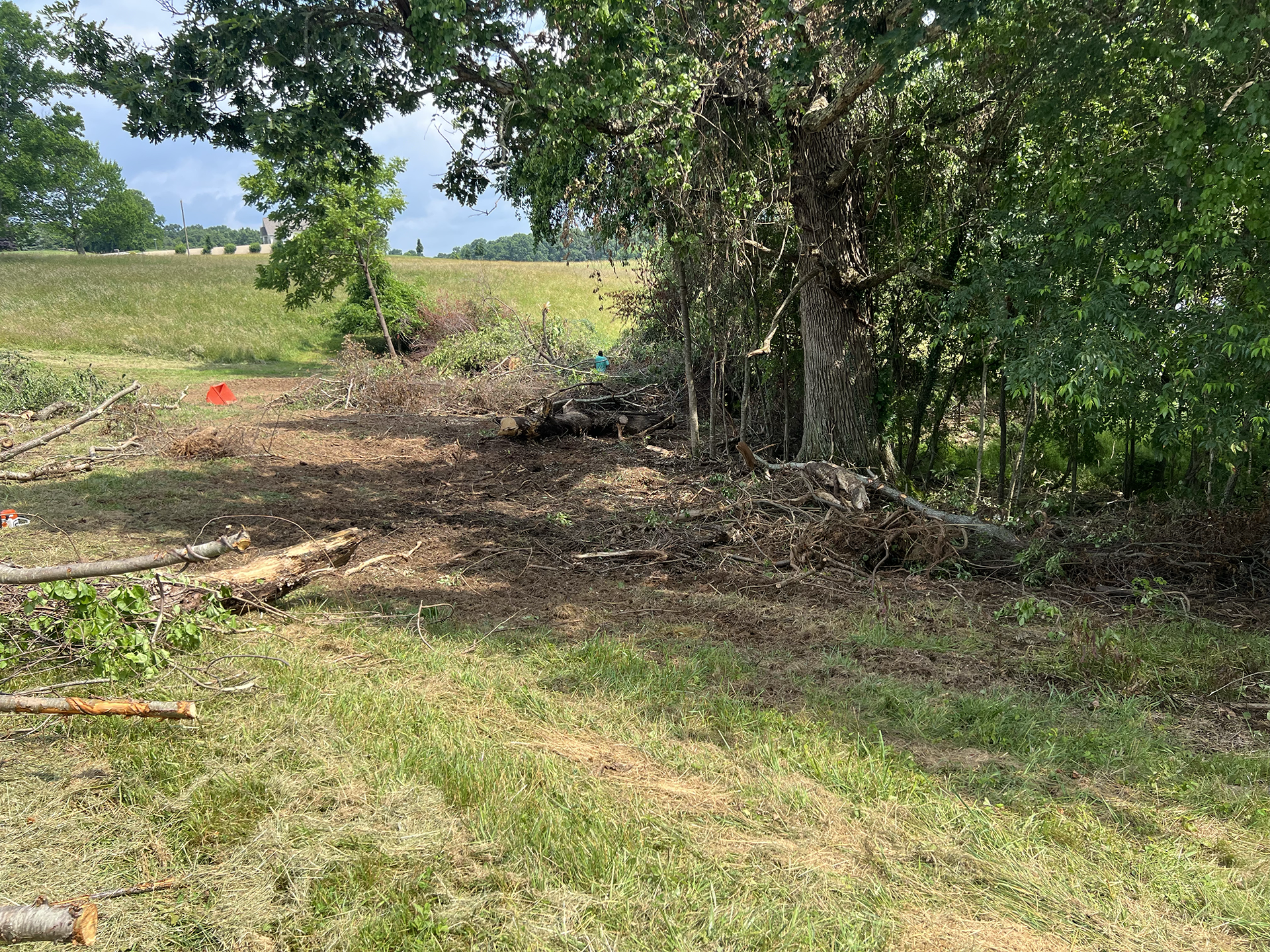 A pile of logs is sitting in the middle of a grassy field.