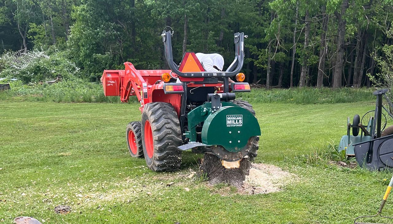 tree stump grinding