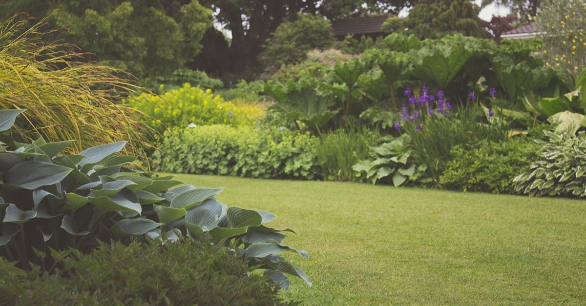 landscape design and installation project