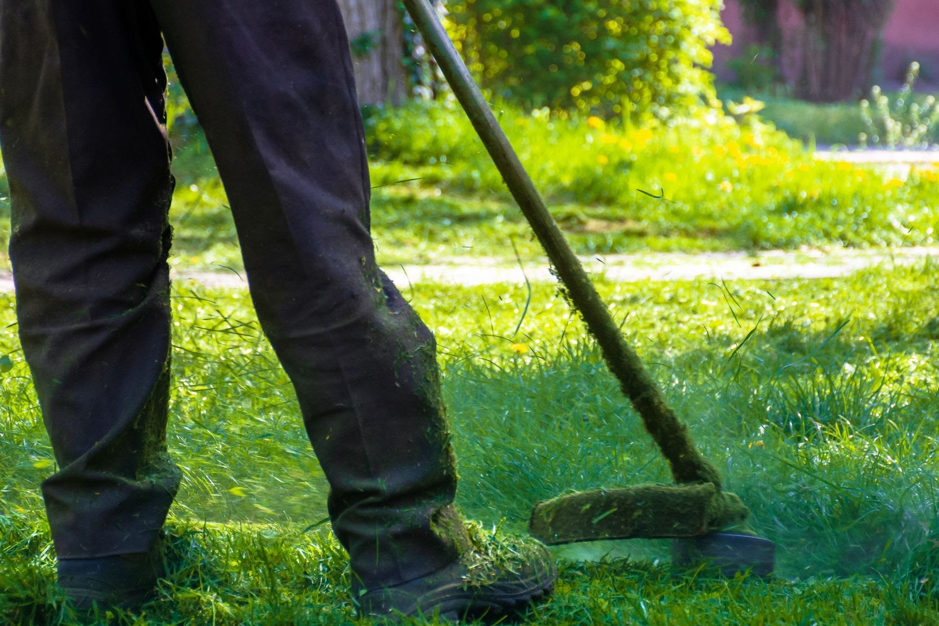 lawn care services in sparta