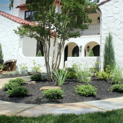 Courtyard garden with a tree and shrubs in front of a white stucco house with arches and balconies