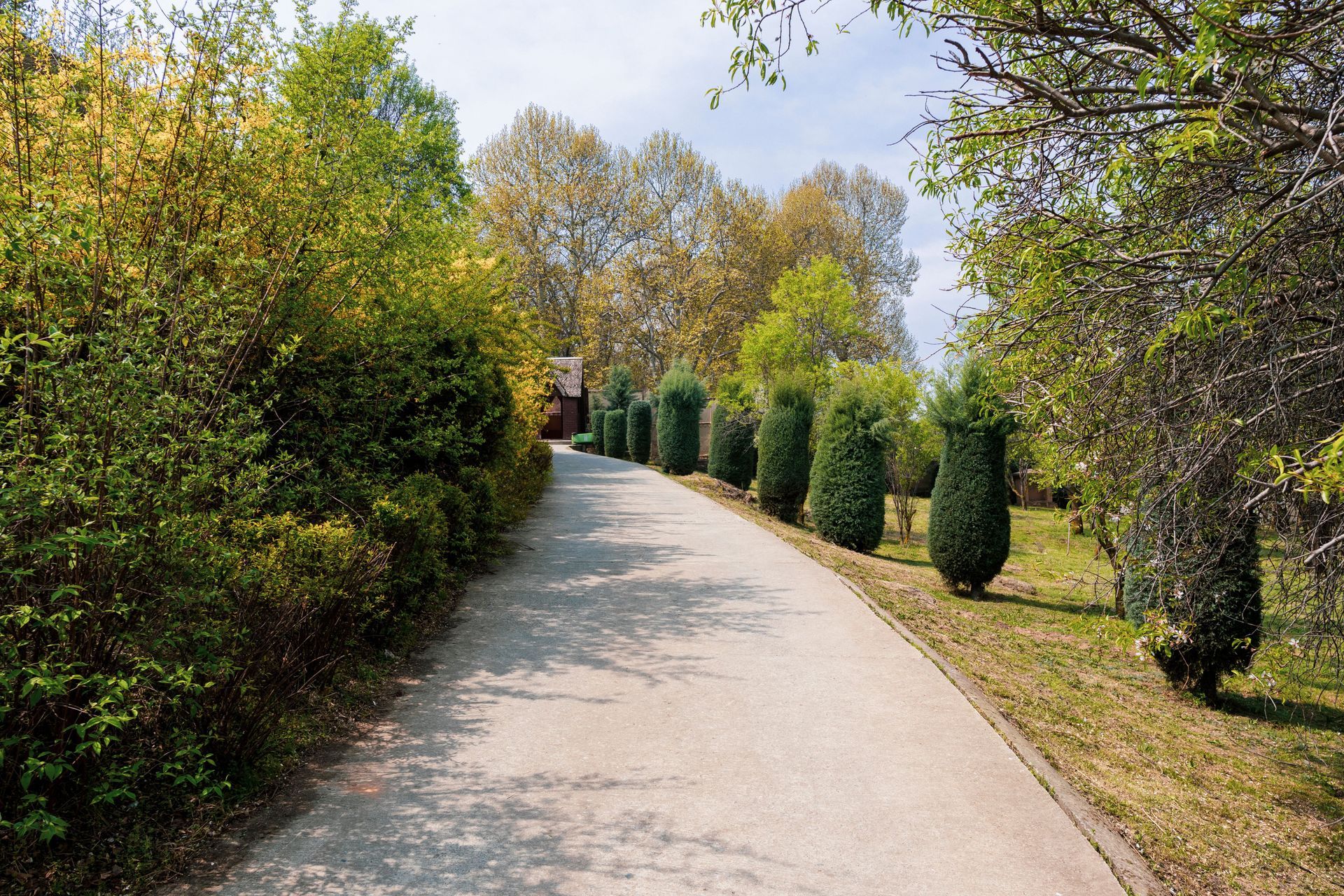 Curving paved path through a green park with trimmed shrubs and trees in spring sunlight
