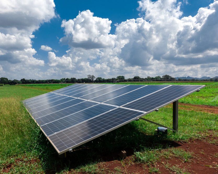 A Row Of Solar Panels In A Grassy Field — Experienced Solar Installers in Tamworth