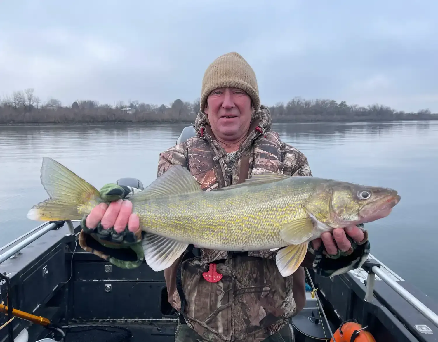 Walleye