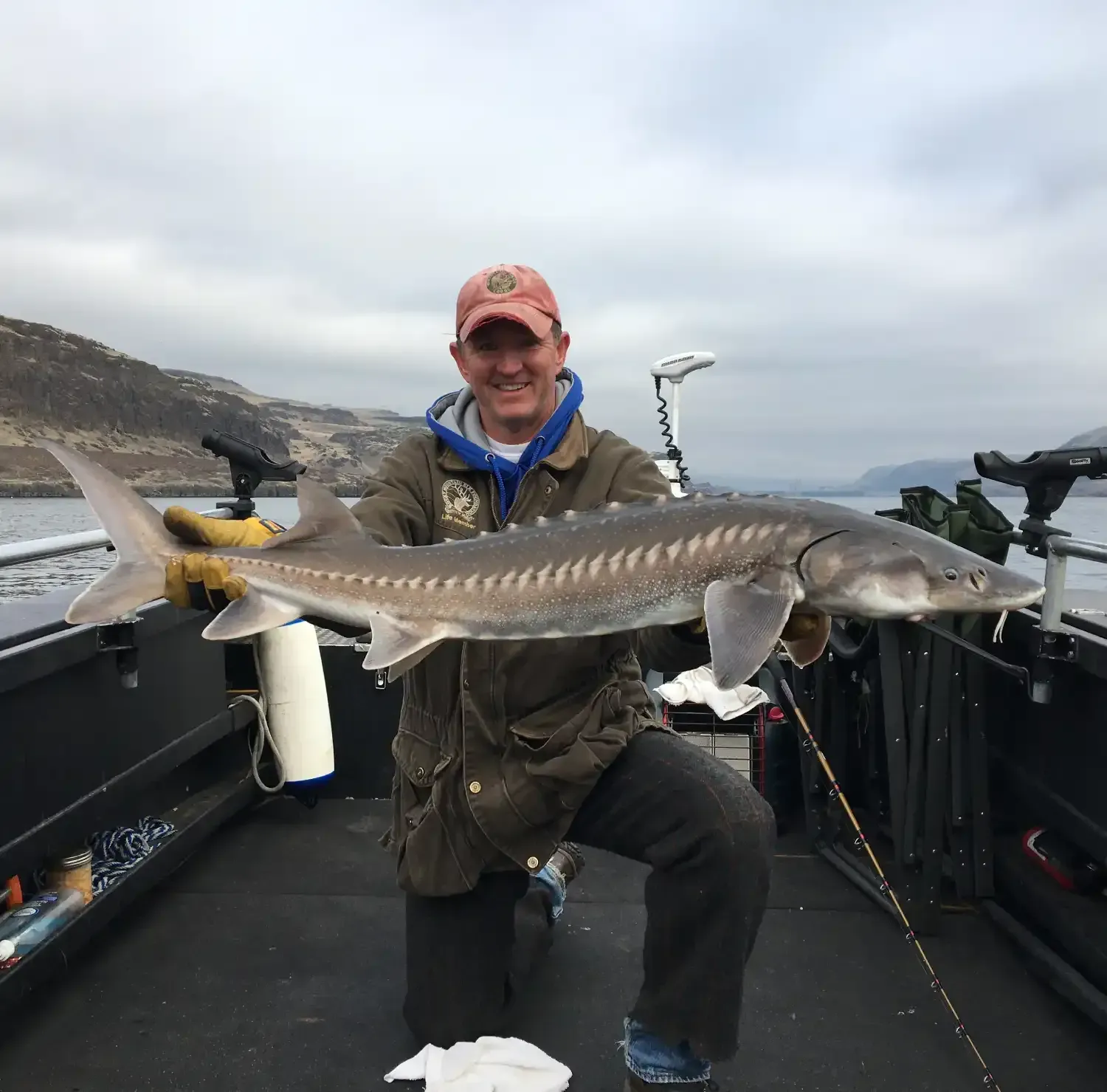 White Sturgeon