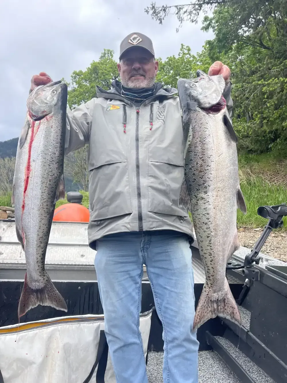 Coho Salmon