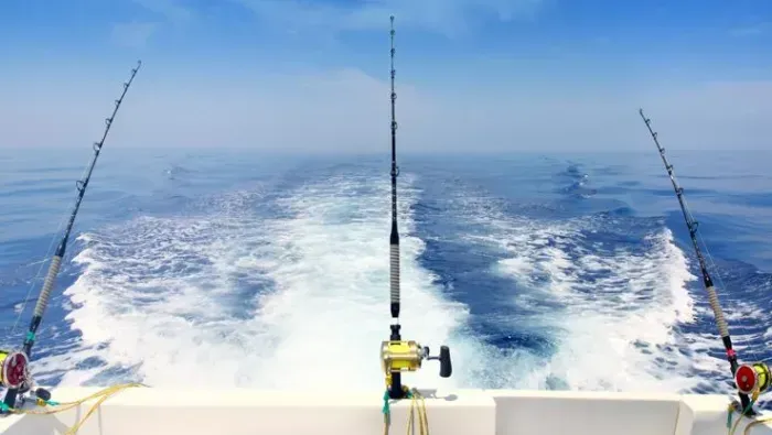 Fishing rods on a boat trail over choppy blue ocean under a clear sky.