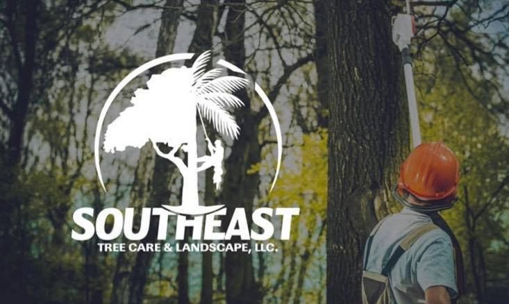 A worker in an orange hard hat looks at a tree with the 