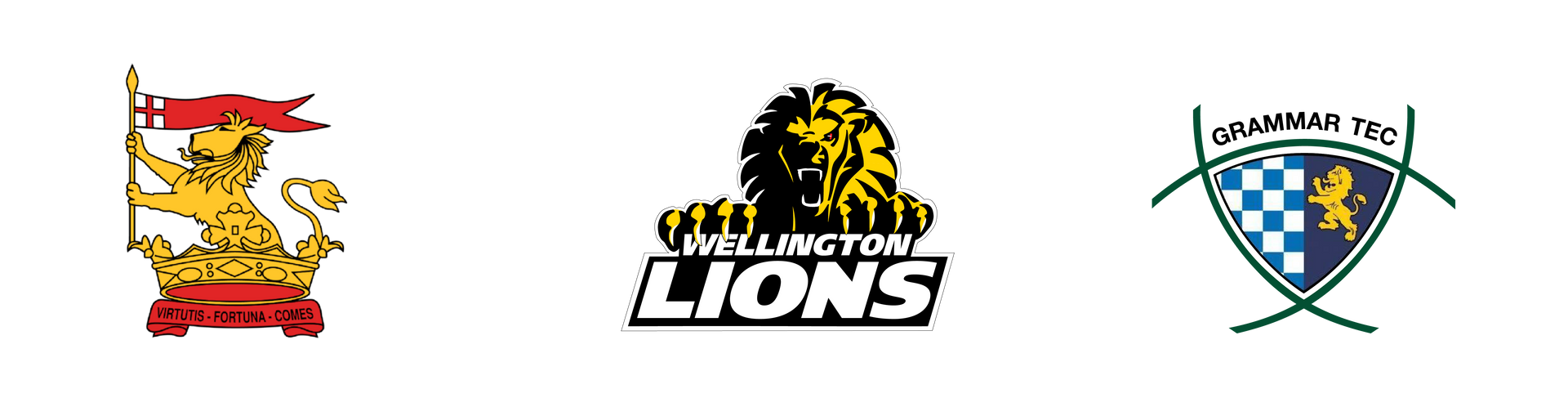 Wellington Lions logo