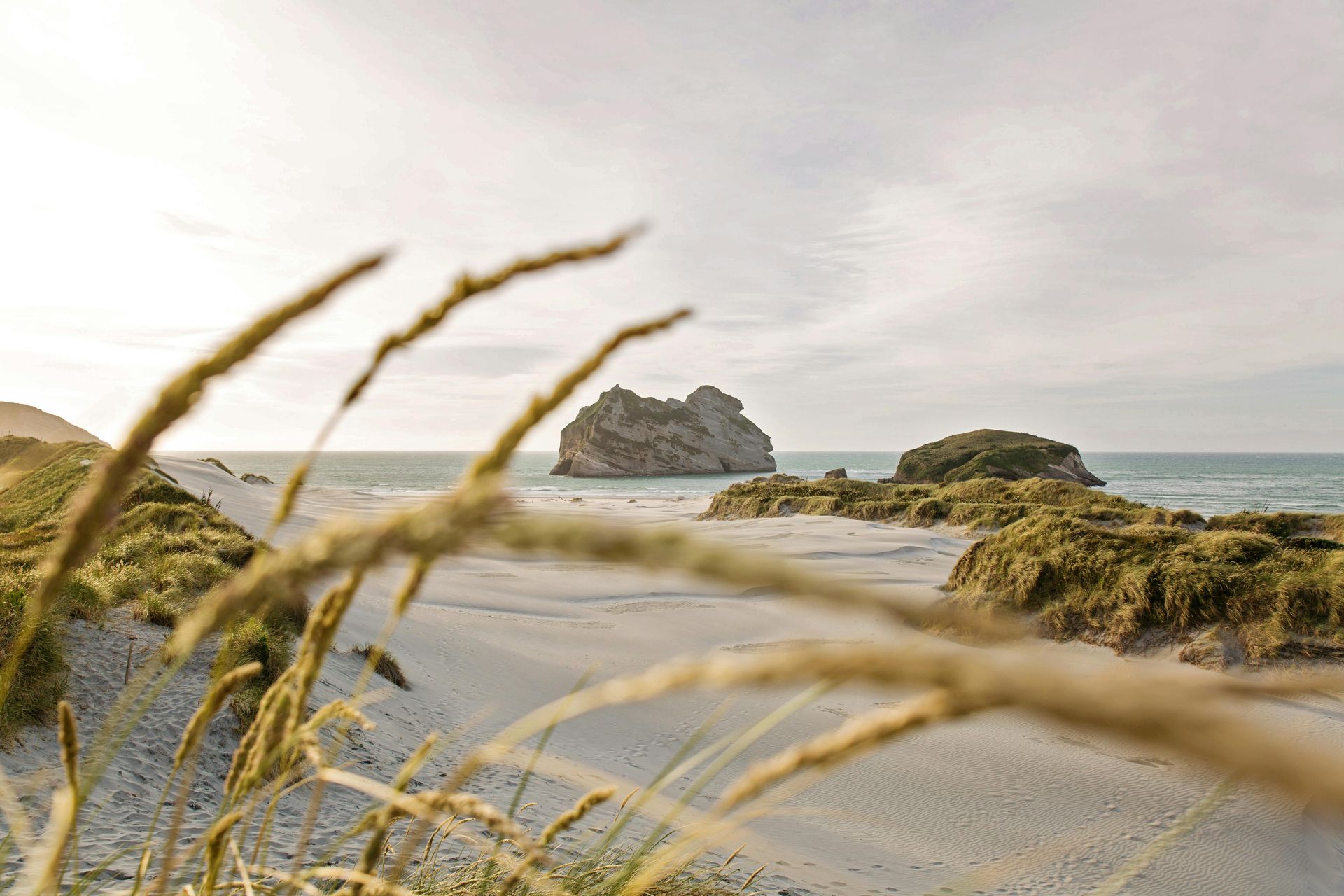 Coastal landscape in New Zealand, representing opportunities to work and live across NZ