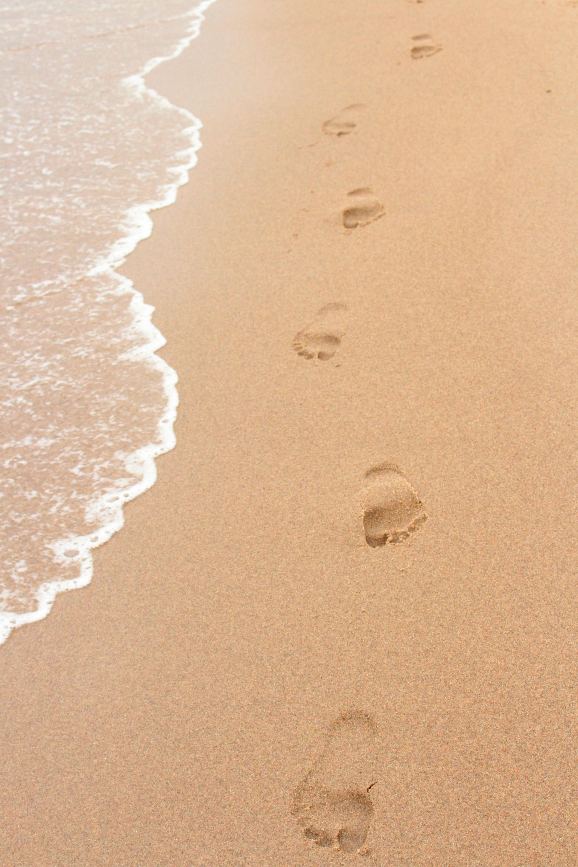A row of footprints in the sand on a beach next to the ocean.