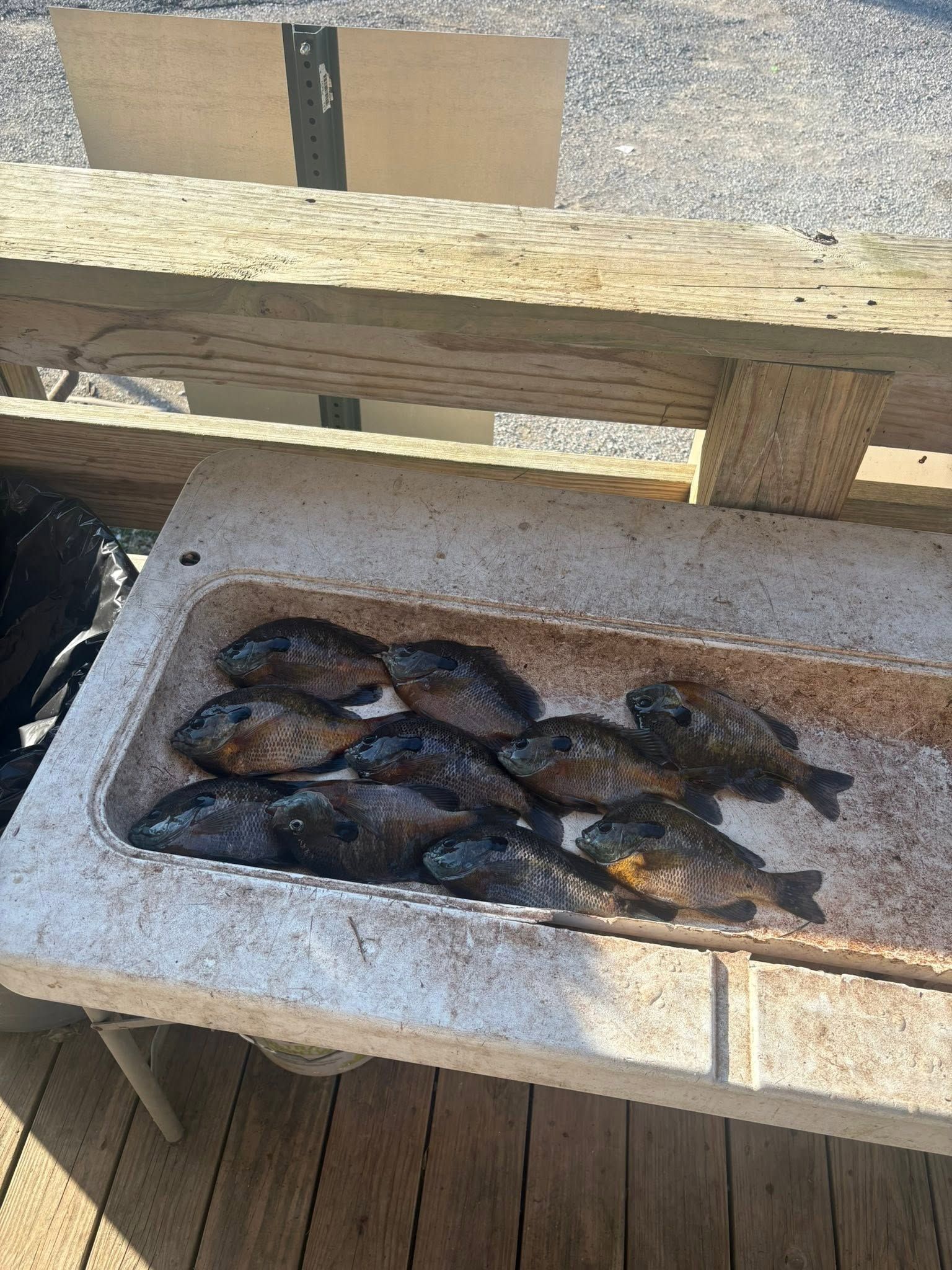 Tray of cooked fish on a grill beside a wooden bench outdoors