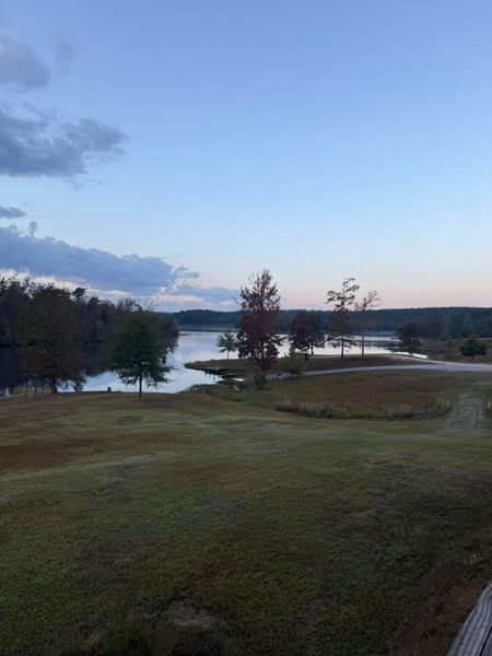 Grassy lakeside landscape at dusk with trees, water, and a cloudy blue sky