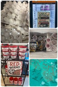 Assorted pet and bait items in store display, including garlic lure, red worms, and aquariums.