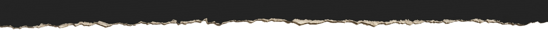 Long horizontal strip with a black-and-white distressed edge pattern on a light background