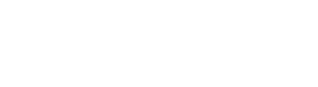 Puligros di Ciaccia Lorenzo logo