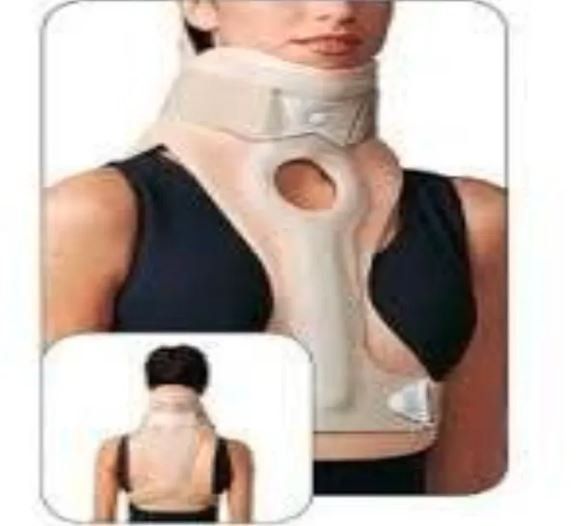busto collo