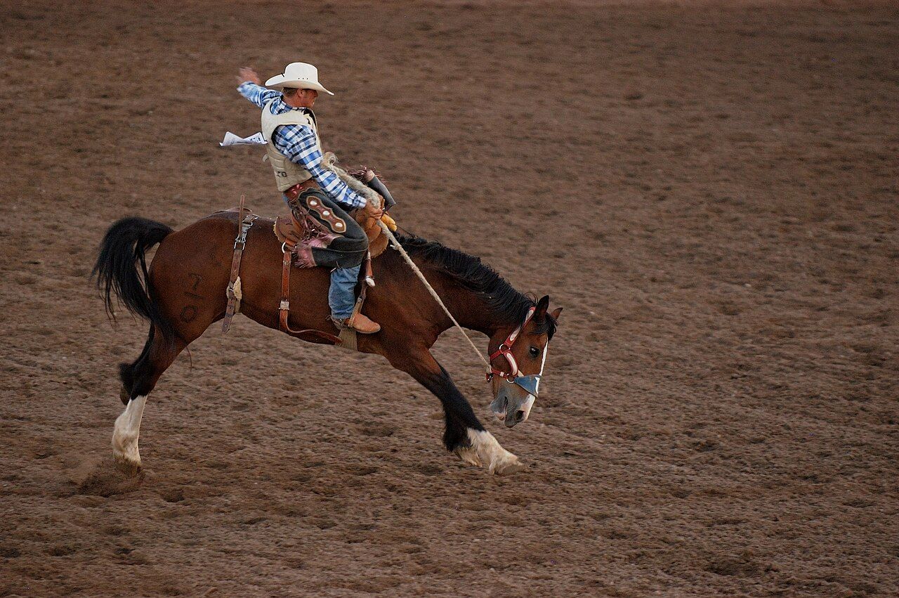 Saddle bronc rider mid-buck in a rodeo arena