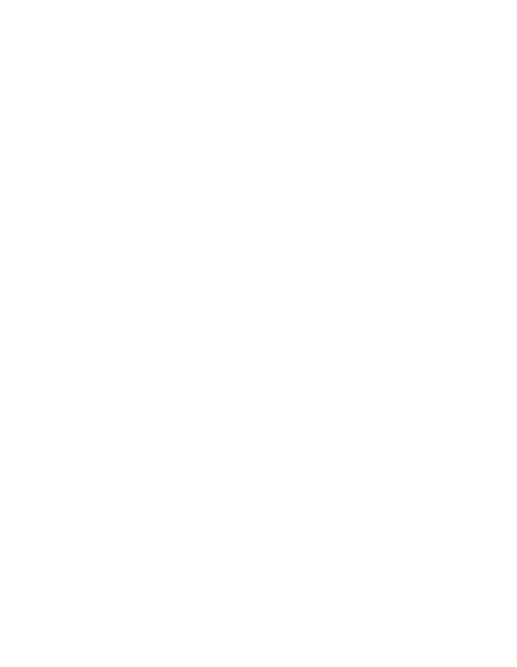 Empty white space.