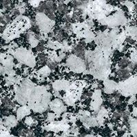 rockville white