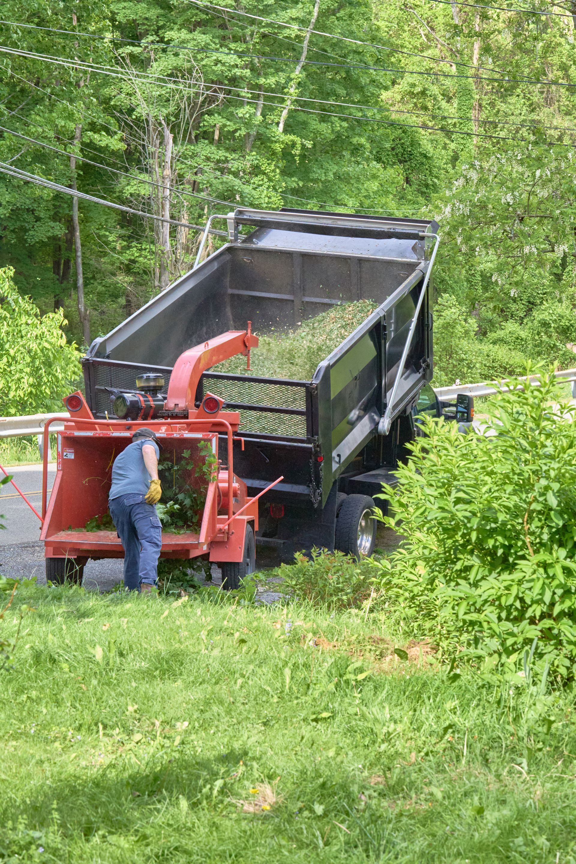 Excavator clearing brush beside a dirt road in a forest during autumn Worker beside red dump truck on a grassy roadside, unloading black material in a wooded area