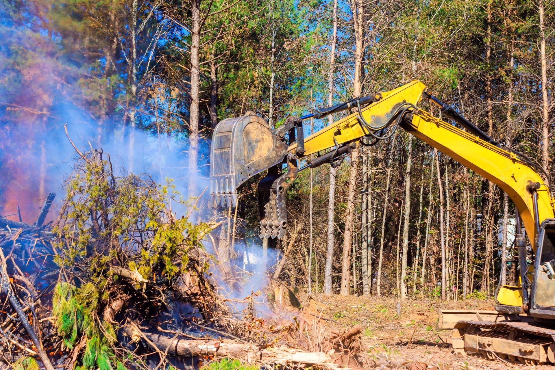 Excavator clearing brush in a forest, with blue smoke rising near cut trees Excavator clearing brush in a forest, with blue smoke rising near cut trees