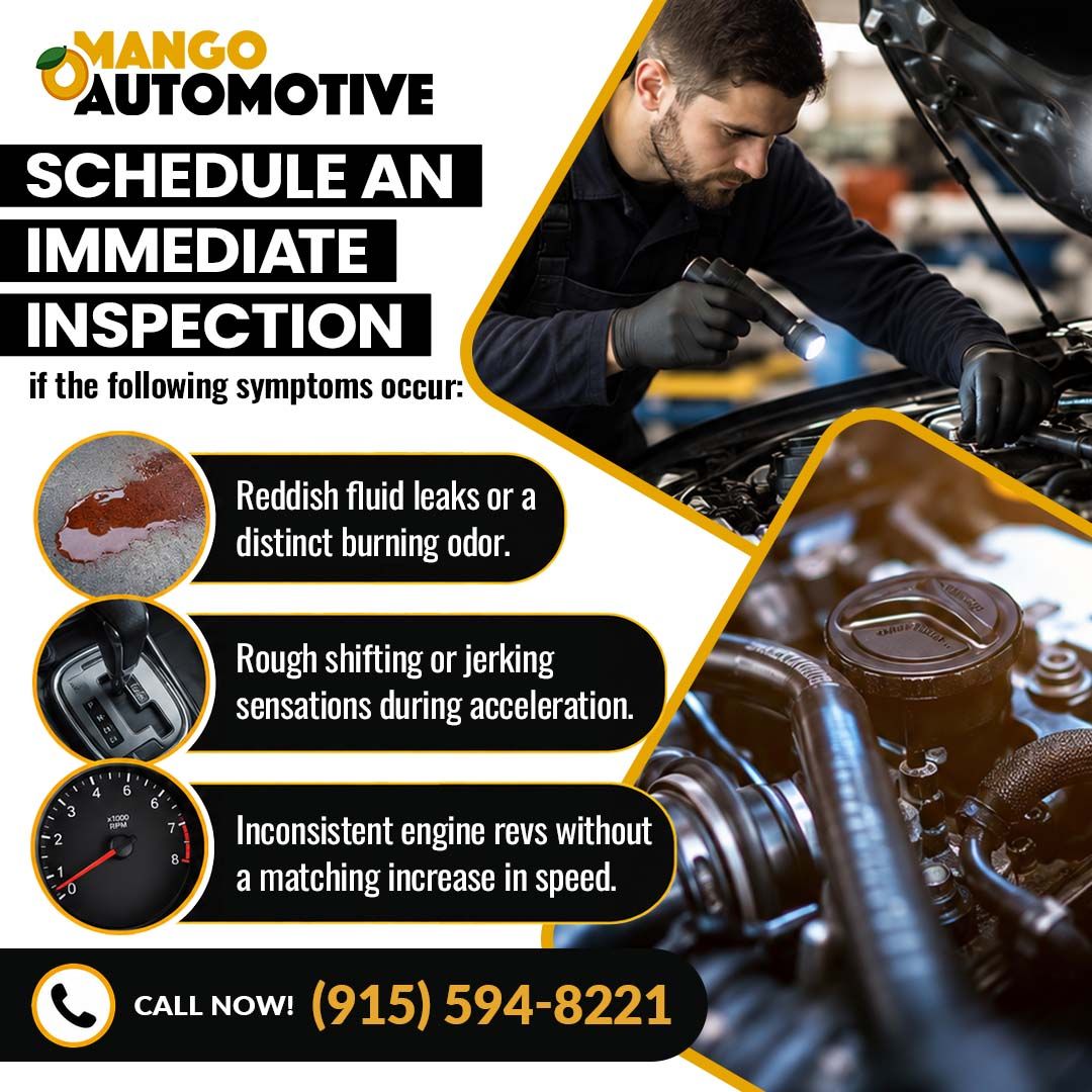 Schedule an immediate inspection