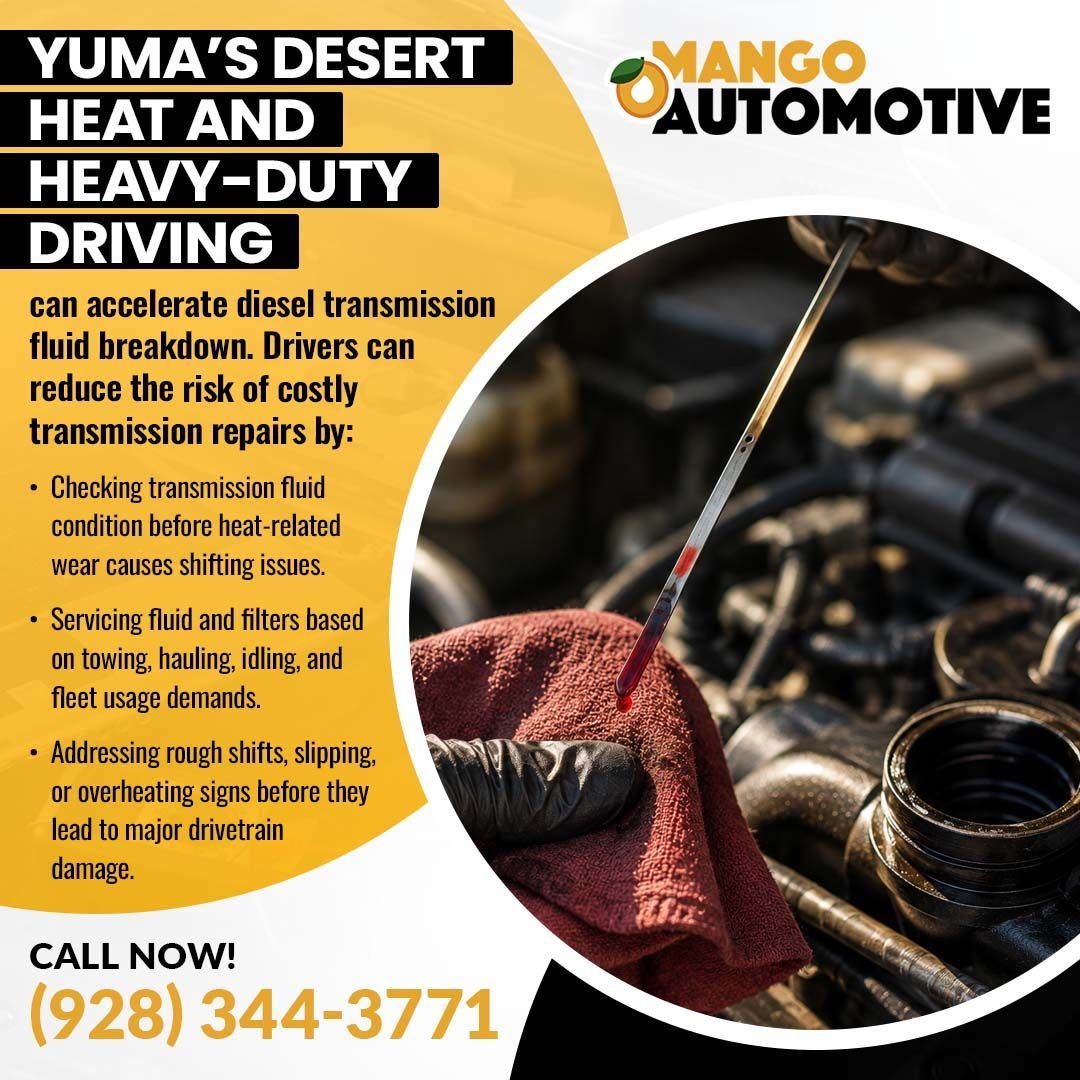 Diesel transmission fluid breakdown- Mango Automotive & Diesel (Yuma)